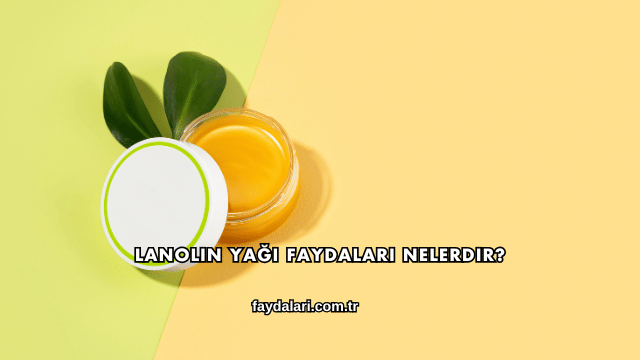 Lanolin Yağı Faydaları Nelerdir?