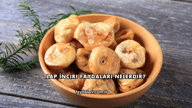Lap İnciri Faydaları Nelerdir?