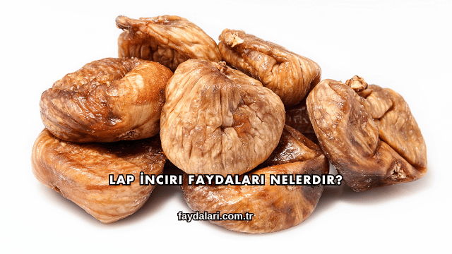 Lap İnciri Faydaları Nelerdir?
