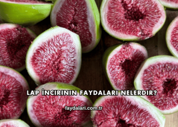 Lap İncirinin Faydaları Nelerdir?