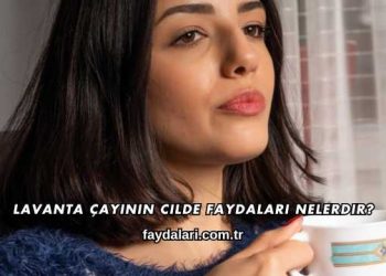 Lavanta Çayının Cilde Faydaları Nelerdir?