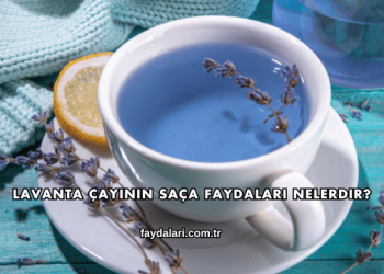 Lavanta Çayının Saça Faydaları Nelerdir?