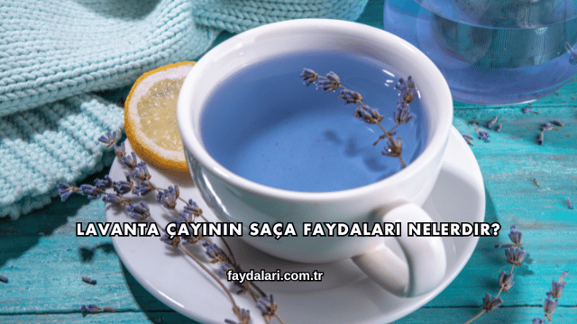 Lavanta Çayının Saça Faydaları Nelerdir?