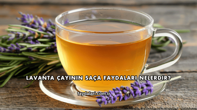 Lavanta Çayının Saça Faydaları Nelerdir?