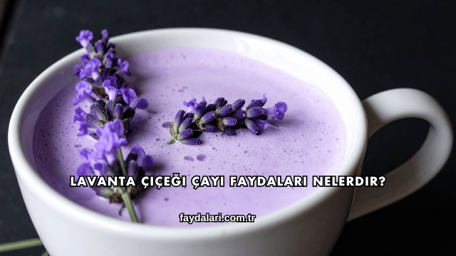 Lavanta Çiçeği Çayı Faydaları Nelerdir?