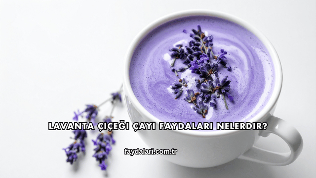 Lavanta Çiçeği Çayı Faydaları Nelerdir?