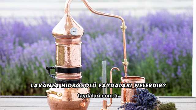Lavanta Hidrosolü Faydaları Nelerdir?