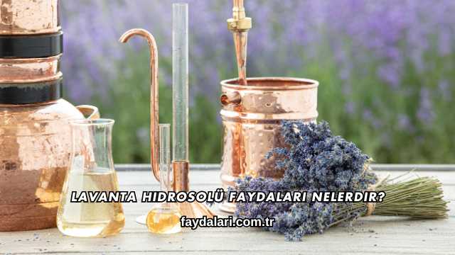 Lavanta Hidrosolü Faydaları Nelerdir?