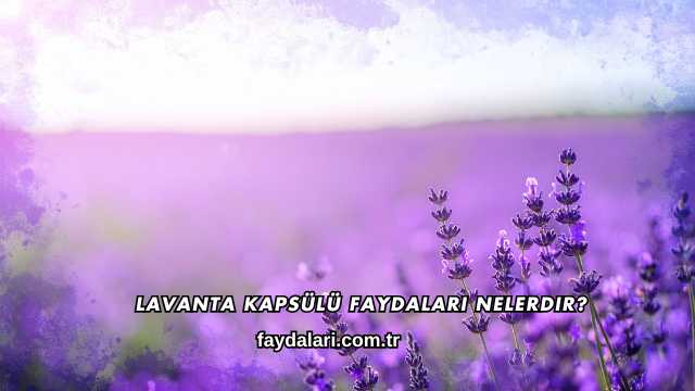 Lavanta Kapsülü Faydaları Nelerdir?