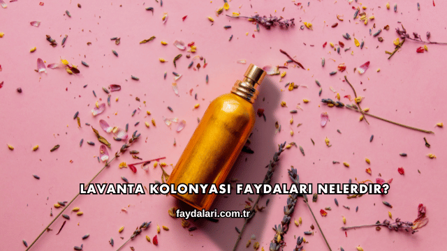 Lavanta Kolonyası Faydaları Nelerdir?