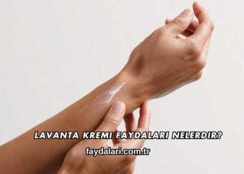 Lavanta Kremi Faydaları Nelerdir?