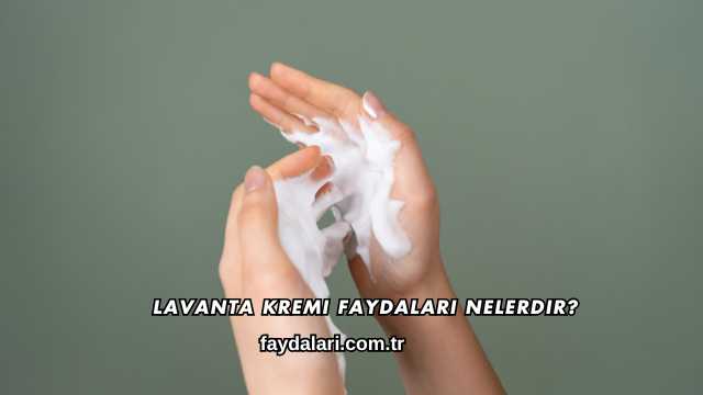 Lavanta Kremi Faydaları Nelerdir?
