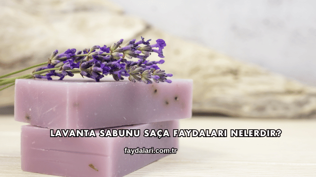 Lavanta Sabunu Saça Faydaları Nelerdir?