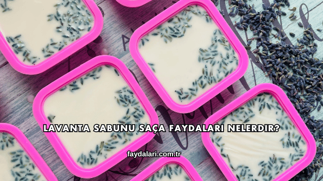 Lavanta Sabunu Saça Faydaları Nelerdir?