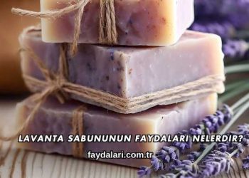 Lavanta Sabununun Faydaları Nelerdir?