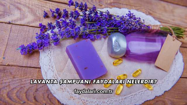 Lavanta Şampuanı Faydaları Nelerdir?