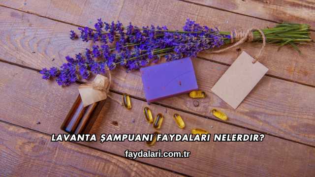 Lavanta Şampuanı Faydaları Nelerdir?