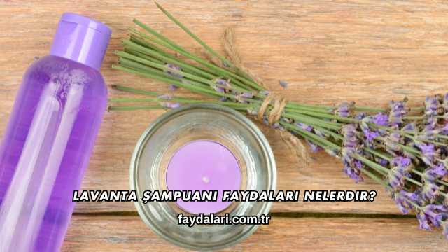 Lavanta Şampuanı Faydaları Nelerdir?