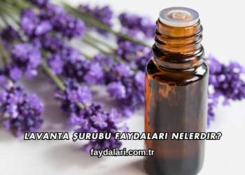 Lavanta Şurubu Faydaları Nelerdir?