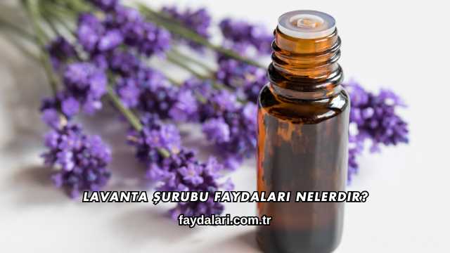 Lavanta Şurubu Faydaları Nelerdir?