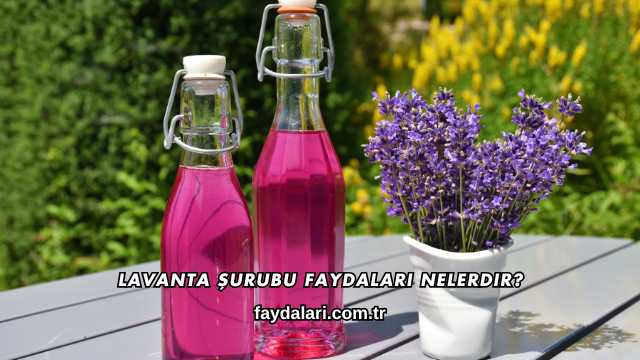 Lavanta Şurubu Faydaları Nelerdir?