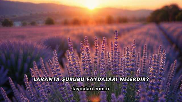 Lavanta Şurubu Faydaları Nelerdir?