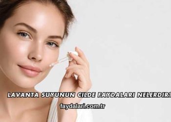 Lavanta Suyunun Cilde Faydaları Nelerdir?