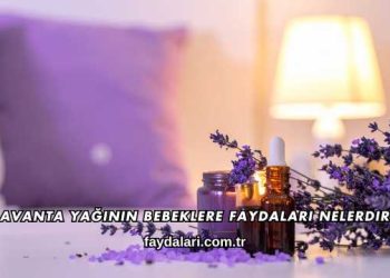 Lavanta Yağının Bebeklere Faydaları Nelerdir?