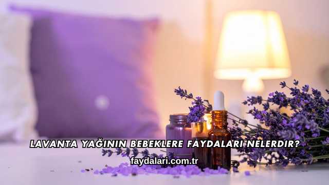 Lavanta Yağının Bebeklere Faydaları Nelerdir?