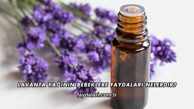 Lavanta Yağının Bebeklere Faydaları Nelerdir?