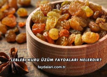 Leblebi Kuru Üzüm Faydaları Nelerdir?