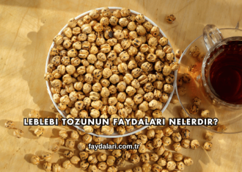 Leblebi Tozunun Faydaları Nelerdir?