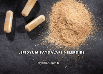 Lepidyum Faydaları Nelerdir?