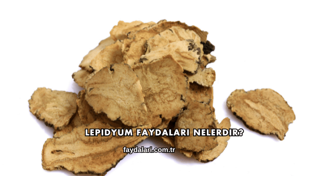 Lepidyum Faydaları Nelerdir?