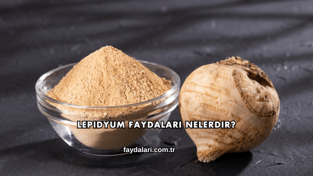 Lepidyum Faydaları Nelerdir?