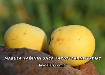 Marula Yağının Saça Faydaları Nelerdir?