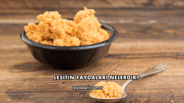 Lesitin Faydaları Nelerdir?