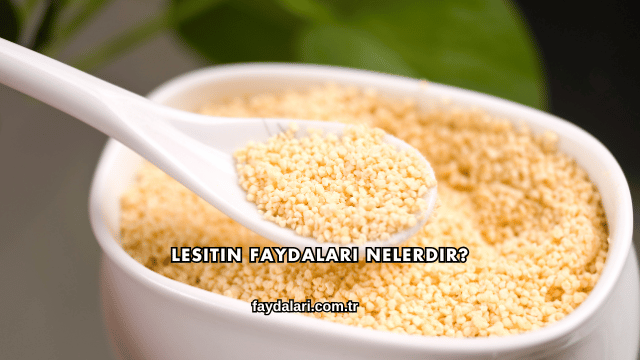 Lesitin Faydaları Nelerdir?