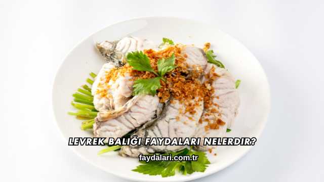 Levrek Balığı Faydaları Nelerdir?