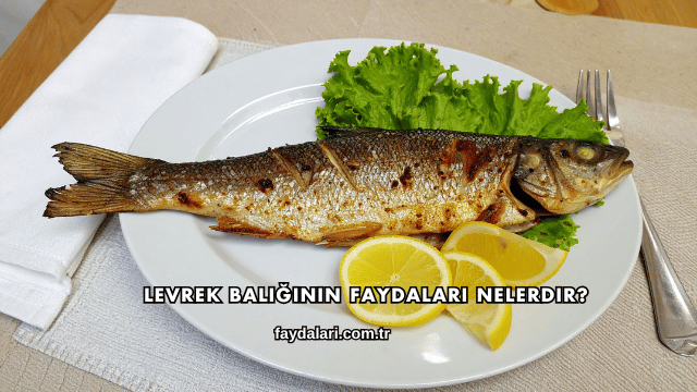Levrek Balığının Faydaları Nelerdir?