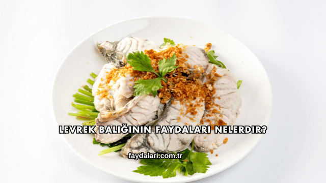 Levrek Balığının Faydaları Nelerdir?