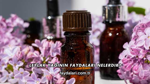 Leylak Yağının Faydaları Nelerdir?