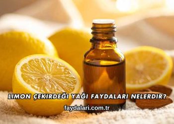 Limon Çekirdeği Yağı Faydaları Nelerdir?