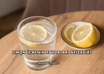 Limon İçmenin Faydaları Nelerdir?