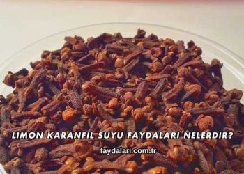 Limon Karanfil Suyu Faydaları Nelerdir?