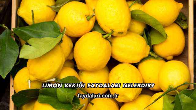 Limon Kekiği Faydaları Nelerdir?