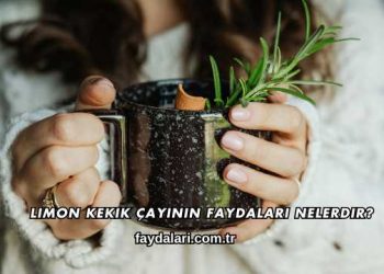 Limon Kekik Çayının Faydaları Nelerdir?