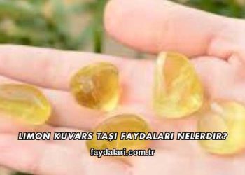 Limon Kuvars Taşı Faydaları Nelerdir?
