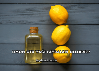 Limon Otu Yağı Faydaları Nelerdir?