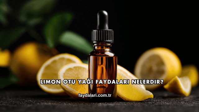 Limon Otu Yağı Faydaları Nelerdir?